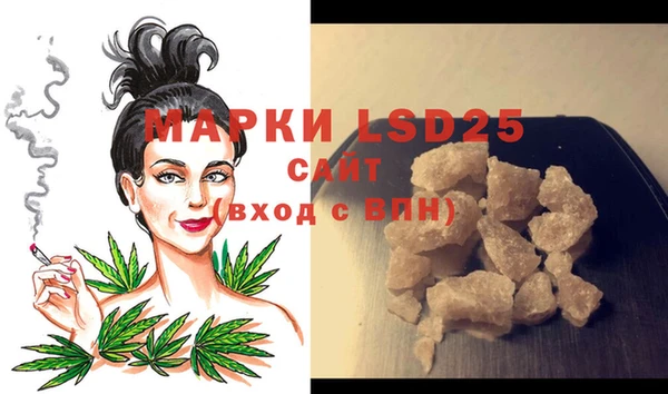 стафф Михайловск