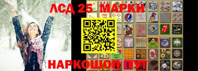 крисы Абакан