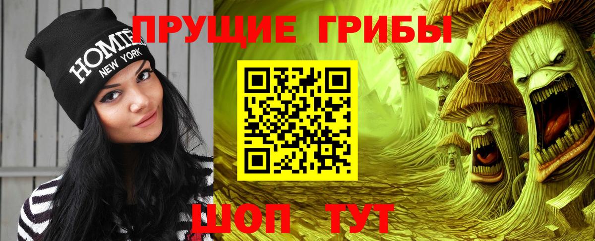 Псилоцибиновые грибы прущие грибы Кизляр